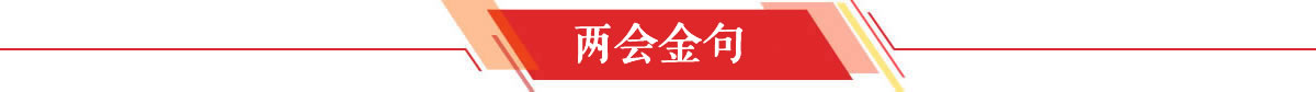 两会金句