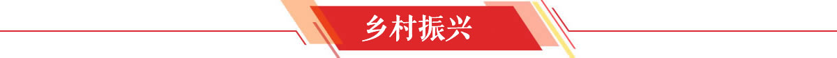 乡村振兴