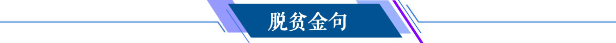 脱贫金句