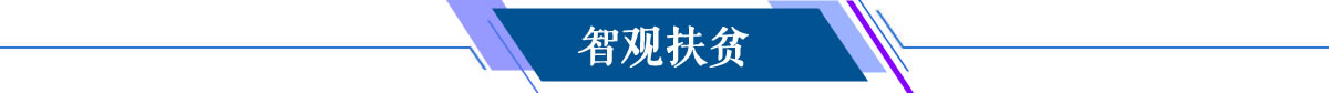 智观扶贫