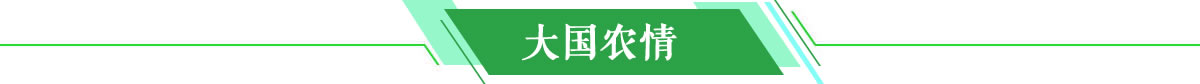 大国农情