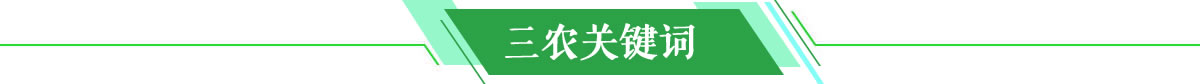三农关键词