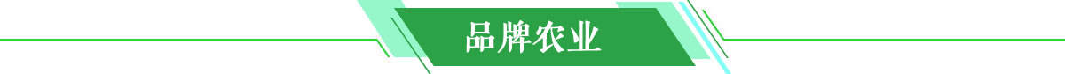 品牌农业