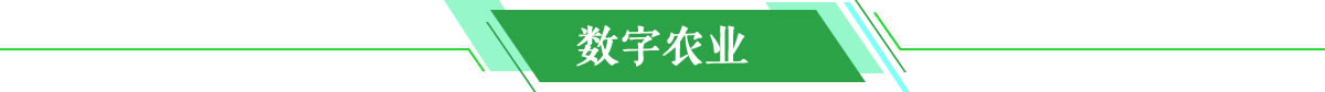数字农业