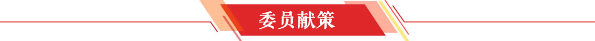 委员献策