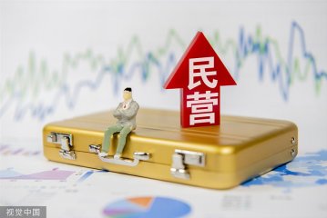 隆国强：在高质量发展中提升民营经济