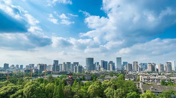 对成都营商环境有什么意见建议？这场座谈会对话数十家企业