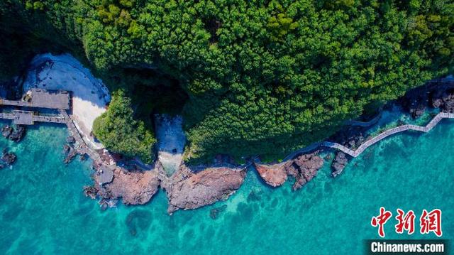 广西着力解决沿海林木循环经济产业园项目用地需求