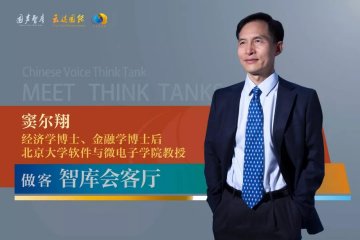 窦尔翔：域论·结构化分工的生产性