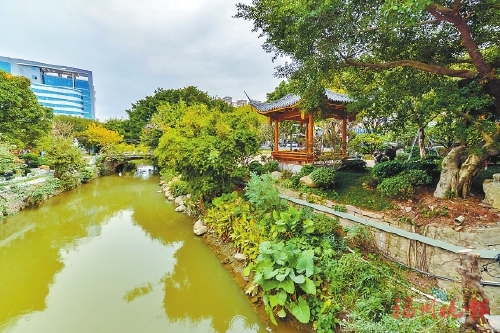 福建：城市“间绿透绿 显山露水”要升级