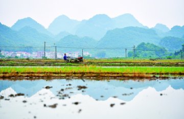 稳是大局、保是前提，“六保”如何齐发力