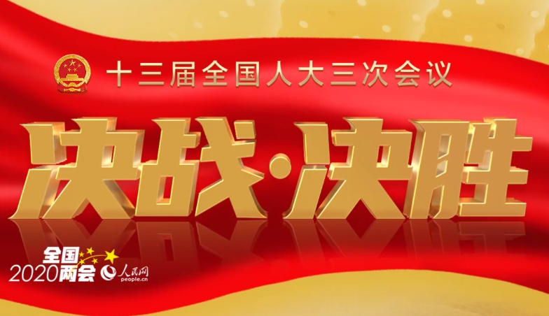 十三届全国人大三次会议专题