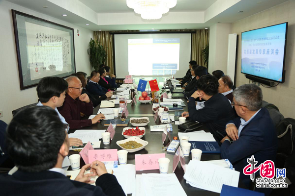 中国智库召开专家座谈会 为实现联合国2030可持续发展议程建言献策