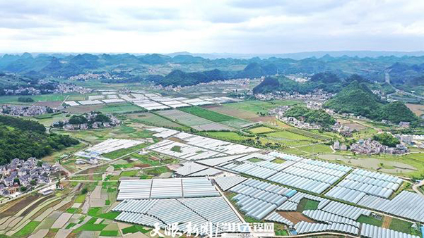 科技支撑 企业“抱团” 安龙全力打造精致农业示范基地