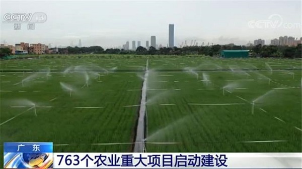 微信图片_20200605114626.jpg