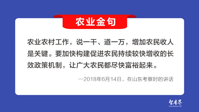 农业金句