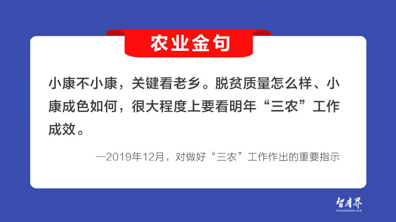 农业金句