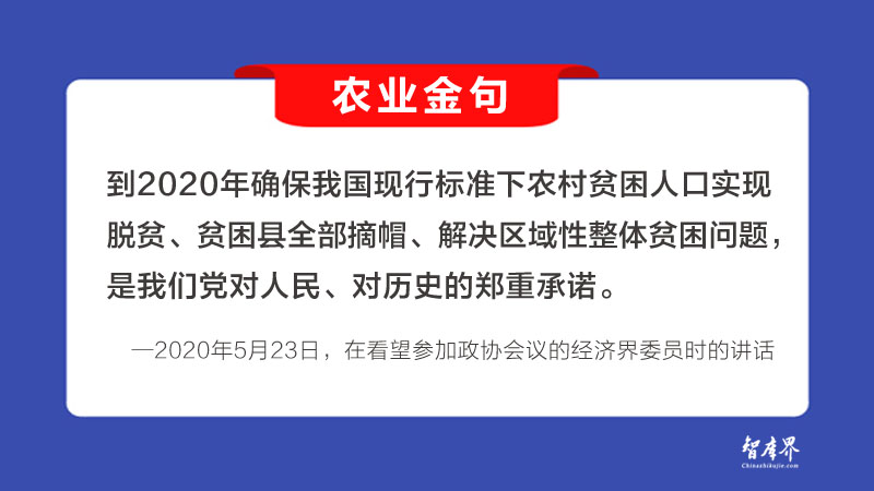 农业金句