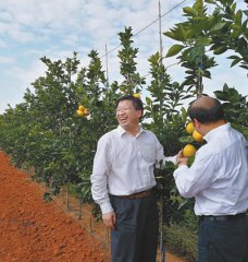 “柑橘院士”扶贫记（科技视点·科技扶贫 我们在行动⑥）