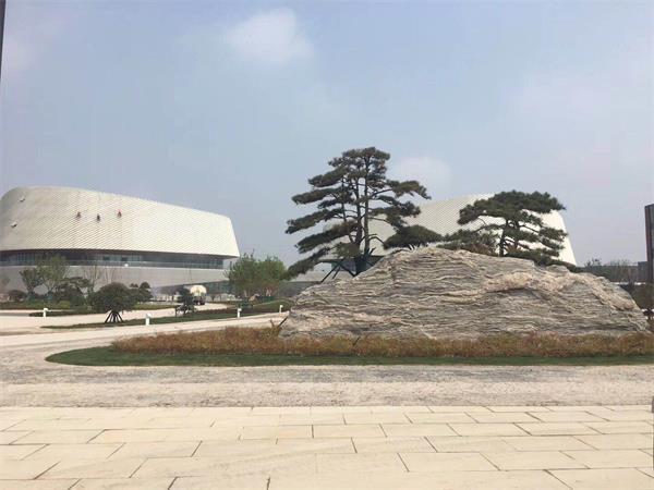 150145928.jpg