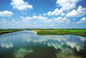深耕黄河文化沃土 渭南大荔迎来“农耕+沙苑+湿地+体育”全域旅游发展叠加机遇期
