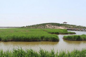 沧州日报：沧州渤海新区南大港湿地成为“国家重要湿地”