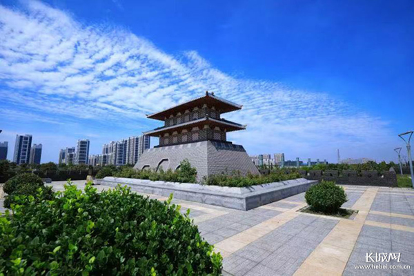 沧州渤海新区：环境生态美 港城海鸥飞