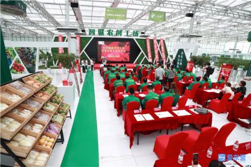 利津智联农创工场首茬运营总结回顾暨优秀合伙人表彰大会举行