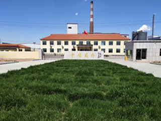 中阳股份企业简介