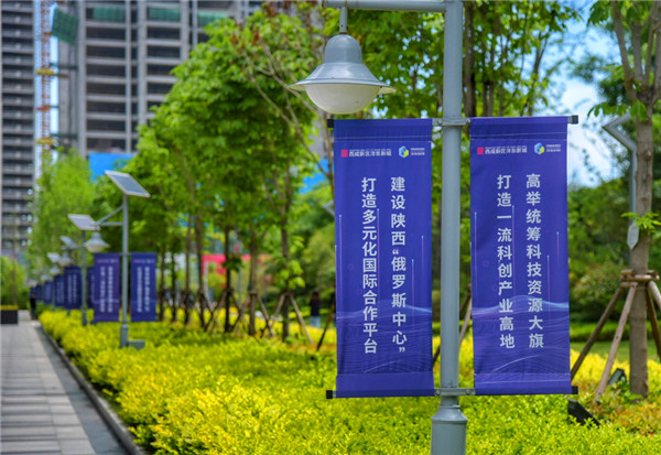 309887f3-f1af-4d1e-80e3-96ee293da917.jpg