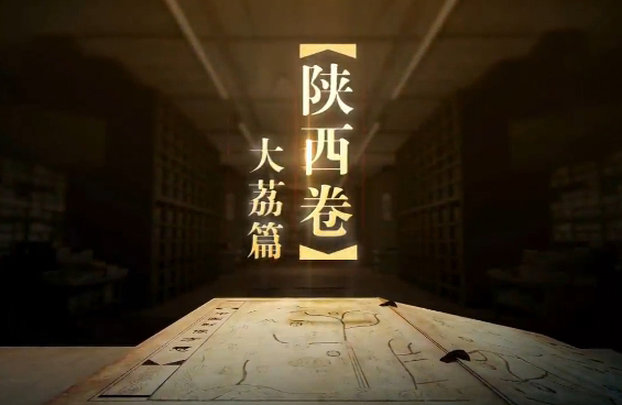 央视力作：影像展现大荔的前世今生