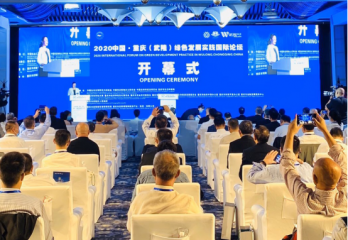 2020中国·重庆（武隆）绿色发展实践国际论坛在武隆举行