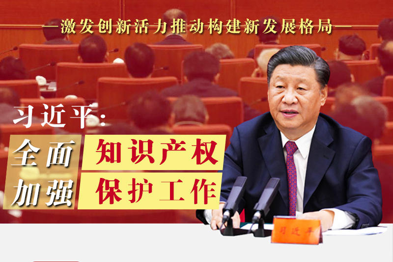 习近平：全面加强知识产权保护工作 激发创新活力推动构建新发展格局