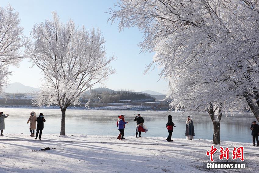 吉林市现2021新年雾凇 松花江岸银装素裹