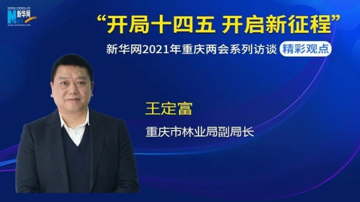 新华访谈：王定富：2025年重庆市森林覆盖率要力争达到57%
