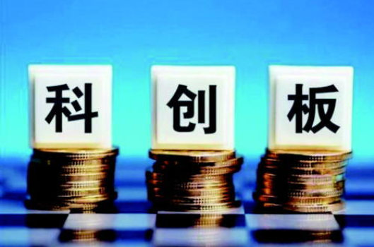 科创板“最豪”新股首秀 一签赚20万