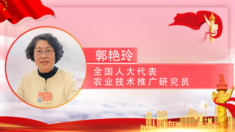 【智观两会】郭艳玲代表：种子论粒卖，小土豆成脱贫致富“金豆豆”