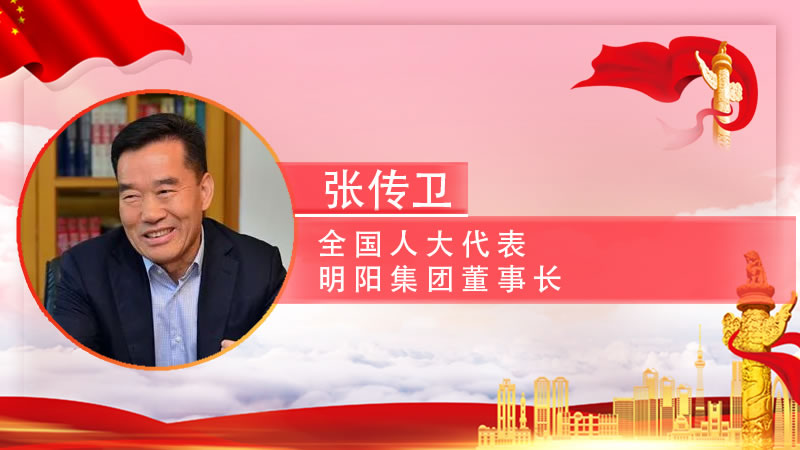 【智观两会】张传卫：将翠亨新区马鞍岛纳入广东省自贸区扩区范围