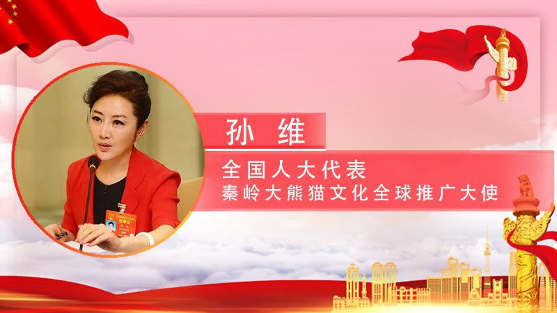 【智观两会】全国人大代表孙维：建议依托秦岭大熊猫研究中心，在西安周边建设集科学研究旅游休闲等为一体的“科学公园”