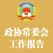 在全国政协十三届四次会议上 汪洋作的政协常委会工作报告（摘要）