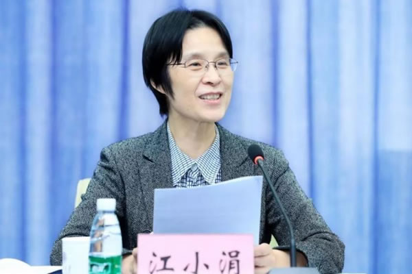 江小涓：以数字政府建设支撑高水平数字中国建设