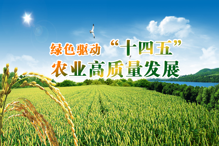 绿色驱动“十四五”农业高质量发展