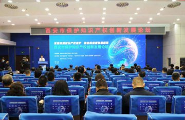 全面加强知识产权保护 推动构建新发展格局——西安举办保护知识产权创新发展论坛
