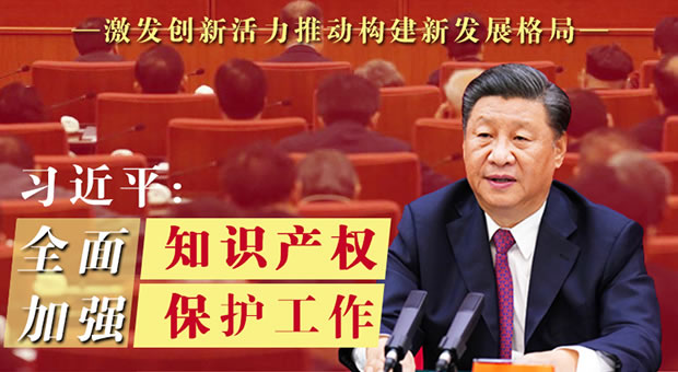 习近平：全面加强知识产权保护工作 激发创新活力推动构建新发展格局