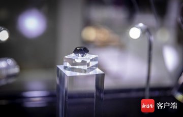 外企聚焦消博会：点赞中国市场 共享中国机遇