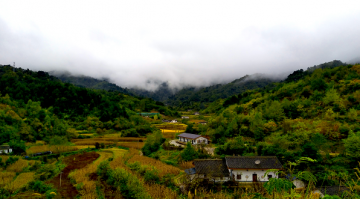 脱贫攻坚答卷——大路通向天