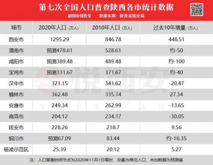 张宝通：立足人口普查结果 发展大关中城市群