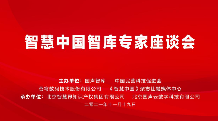 智慧中国智库专家座谈会在京举行