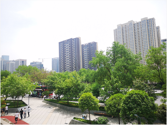 张宝通：城市化的规律与发展县城的意义