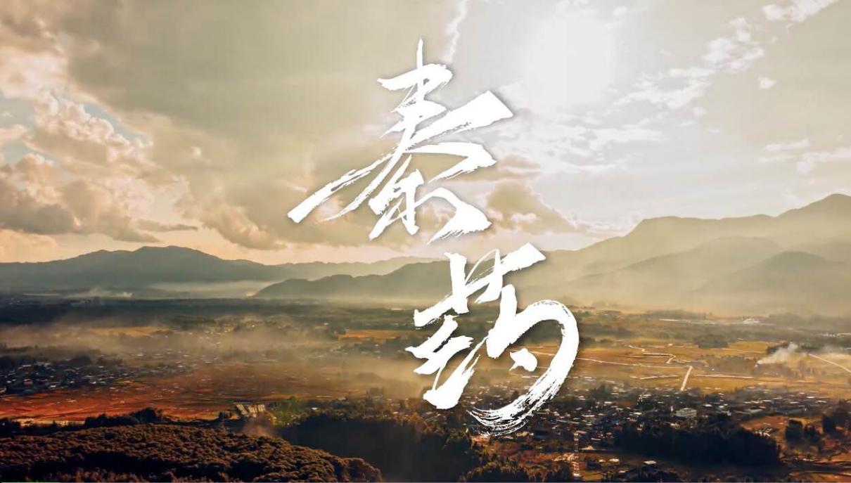 “一带一路”中医药高质量发展座谈会 用数字化讲好中医药故事